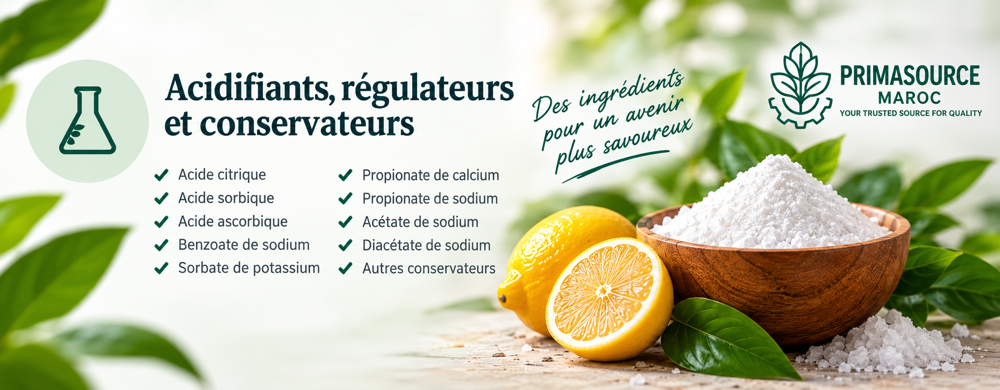 Catalogue Primasource Maroc - acidifiants, régulateurs et conservateurs