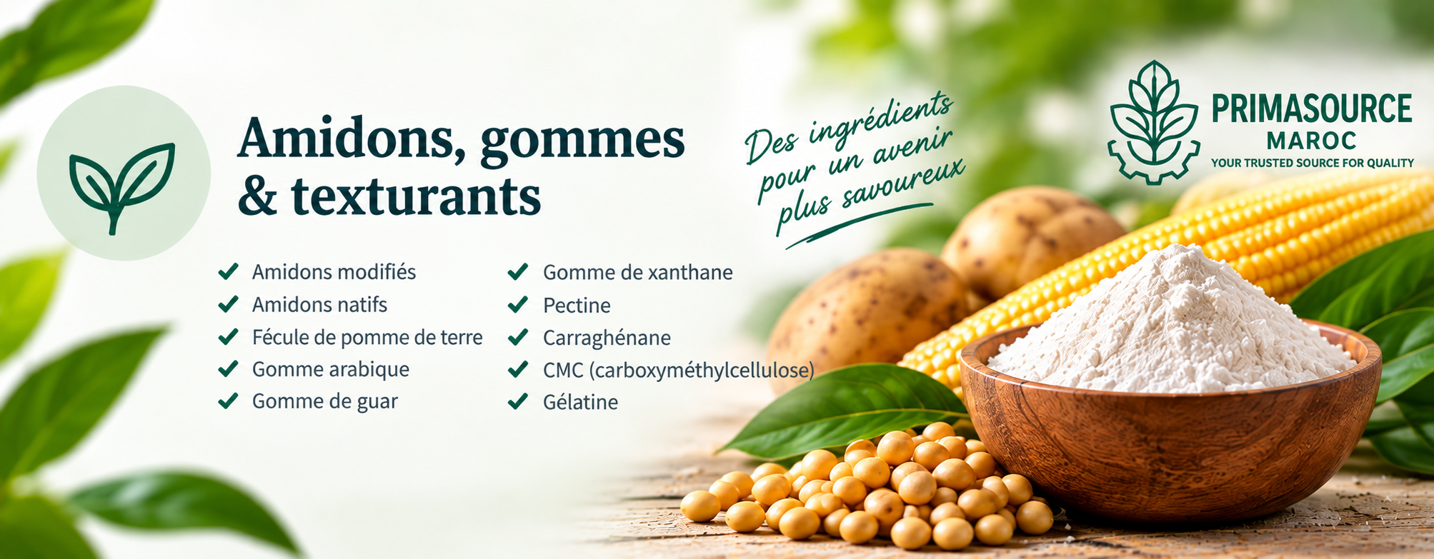 Catalogue Primasource Maroc - amidons, gommes et texturants