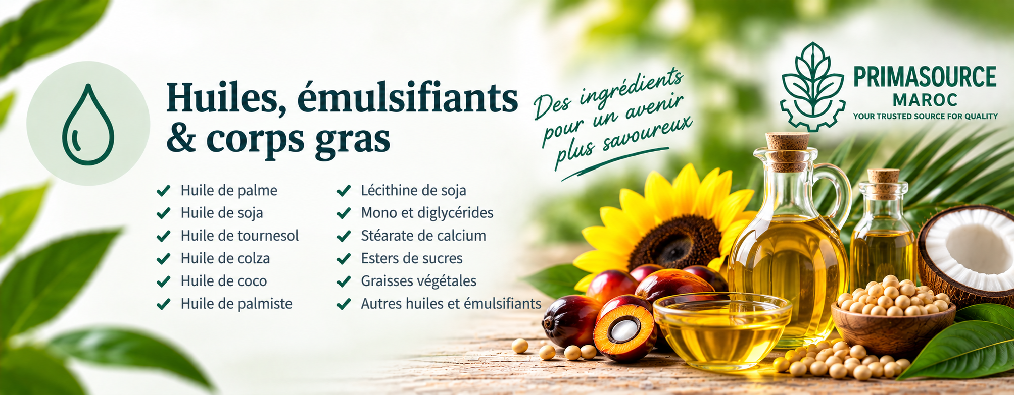 Catalogue Primasource Maroc - huiles, émulsifiants et corps gras