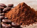 Poudre de cacao pour biscuiterie pâtisserie chocolaterie